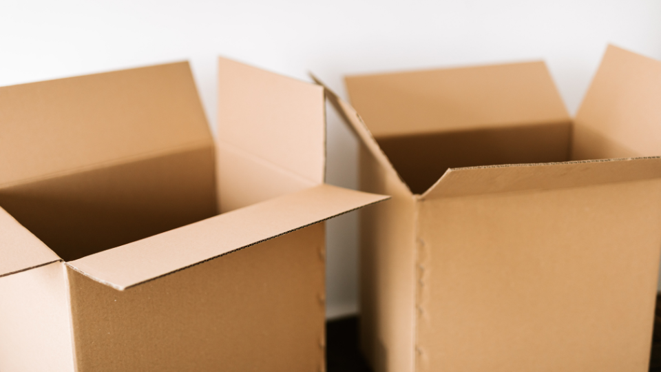 Sofia Tormenta, Organizadora Profissional